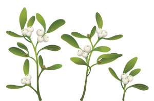Mistletoe Therapy