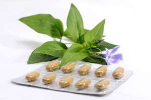 Nutritional Supplements & Botanicals